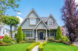 lush green lawn