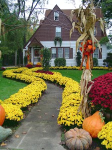 this is the prettiest house on the block all decked out in fall's finest colors! ** Note: Slight blurriness, best at smaller sizes