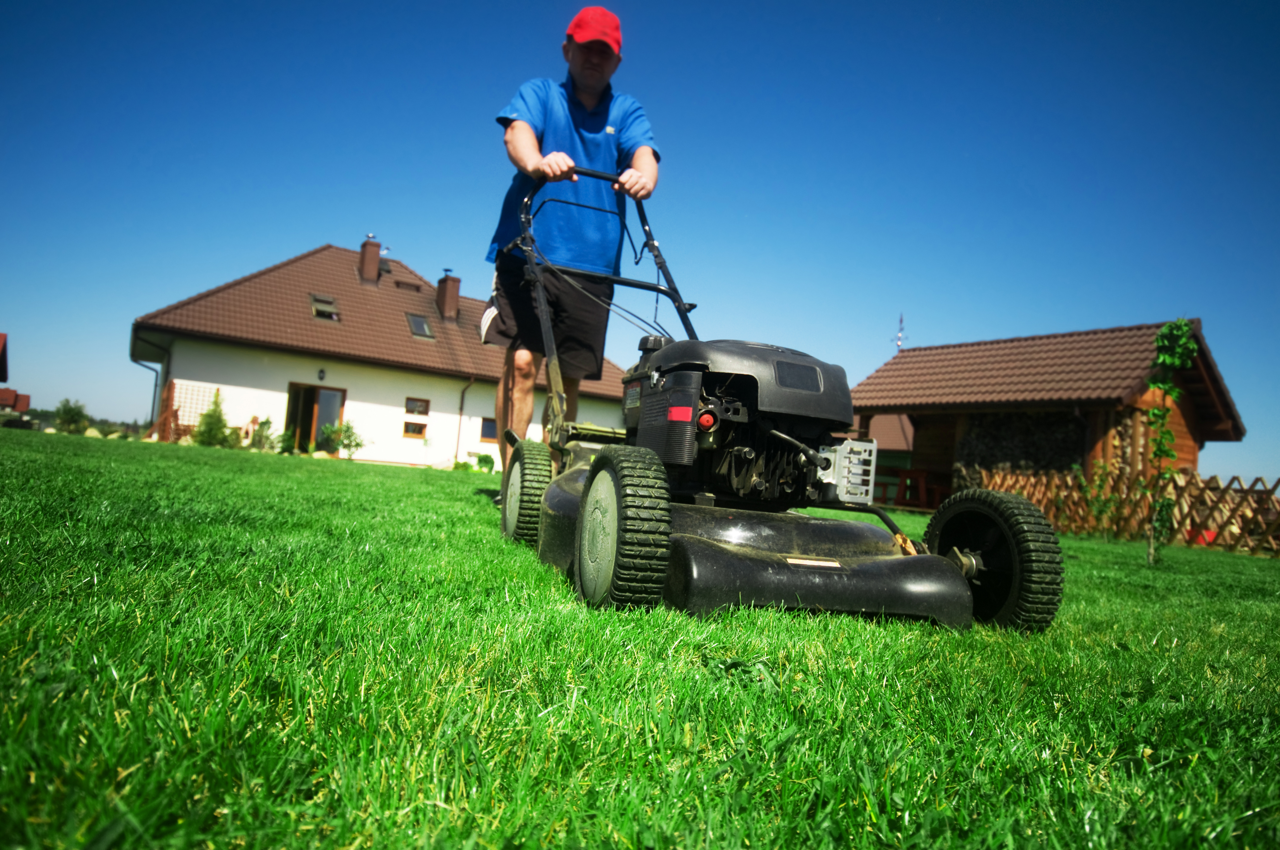 Summer lawn care