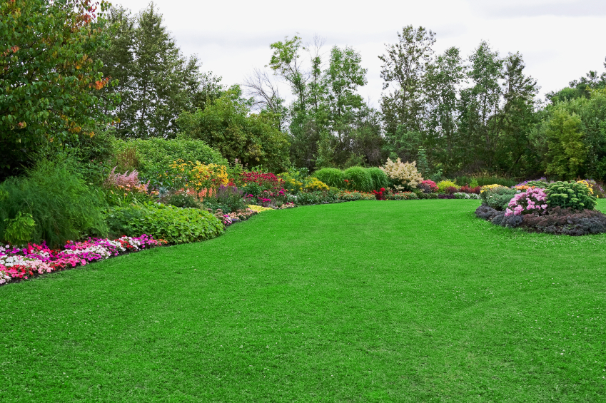 Seeding your lawn